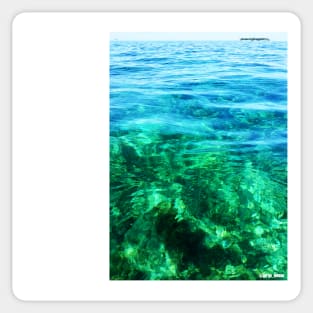 wetland paradise reef caribe Sticker